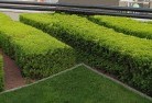 Weethallecommercial-landscaping-1.jpg; ?>